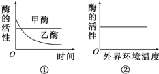 2025新澳三期必出三生肖,实证解答解释落实_kw582.84.8